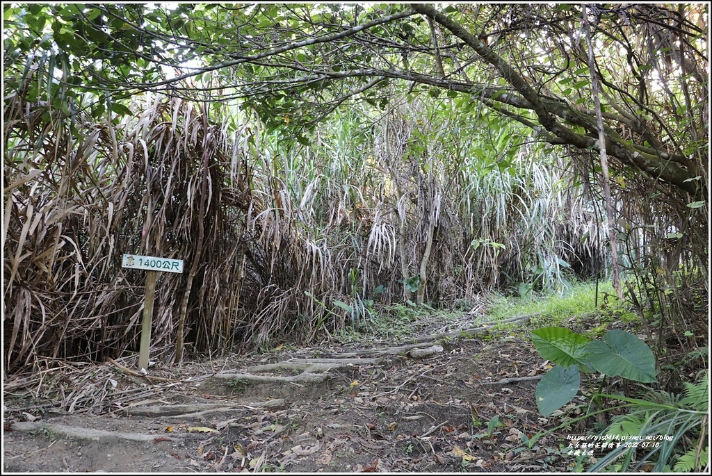 米棧古道-2022-07-37.jpg 米棧古道-2022-07-37.jpg