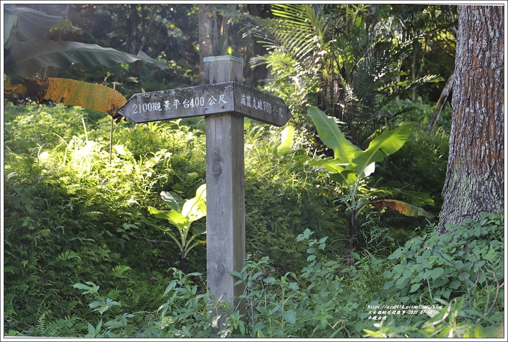 米棧古道-2022-07-40.jpg 米棧古道-2022-07-40.jpg