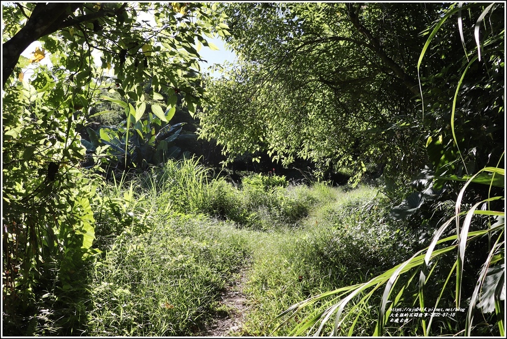 米棧古道-2022-07-39.jpg 米棧古道-2022-07-39.jpg