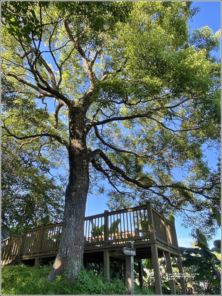 米棧古道-2022-07-44.jpg 米棧古道-2022-07-44.jpg