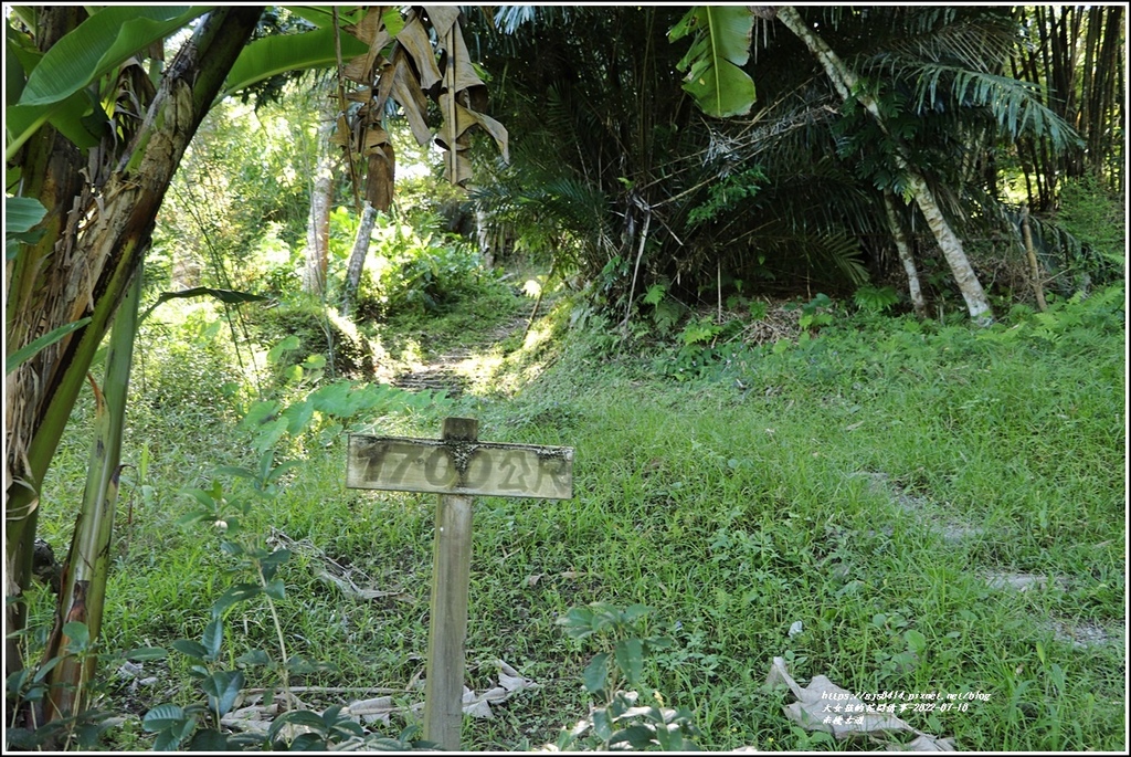 米棧古道-2022-07-56.jpg 米棧古道-2022-07-56.jpg