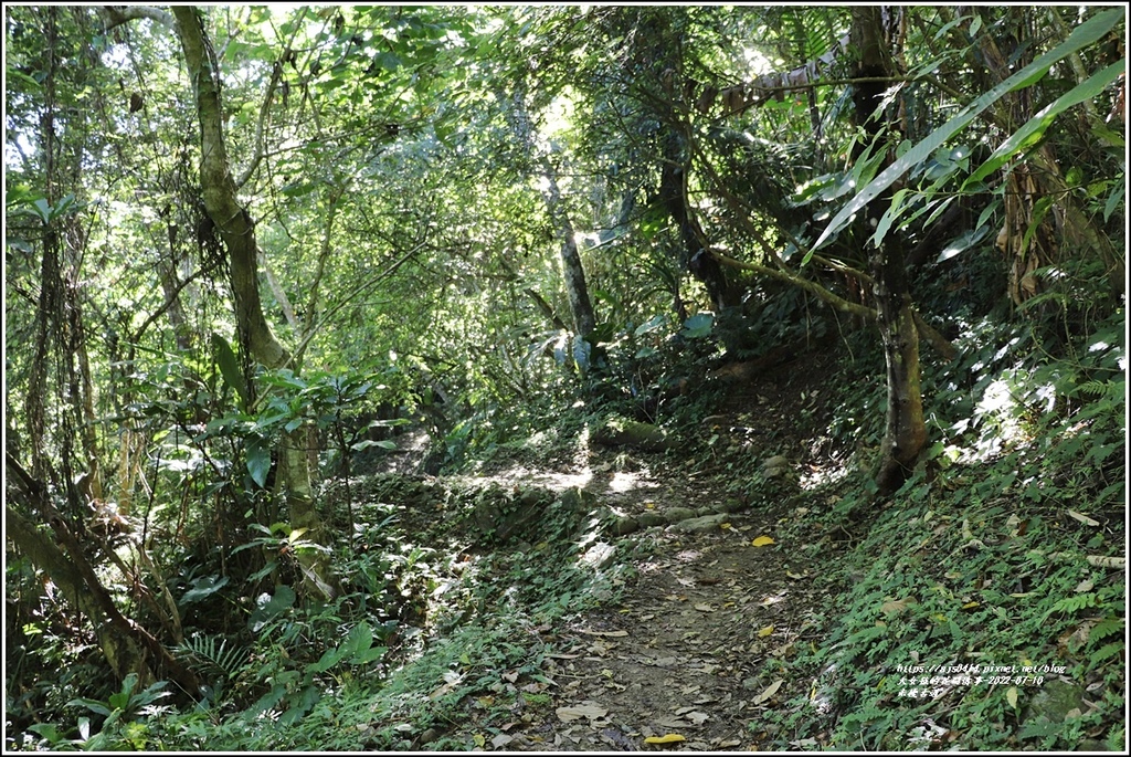 米棧古道-2022-07-58.jpg 米棧古道-2022-07-58.jpg