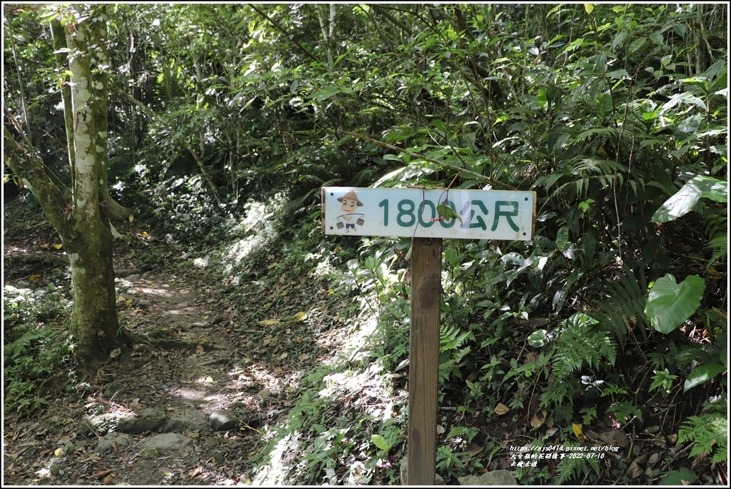 米棧古道-2022-07-57.jpg 米棧古道-2022-07-57.jpg