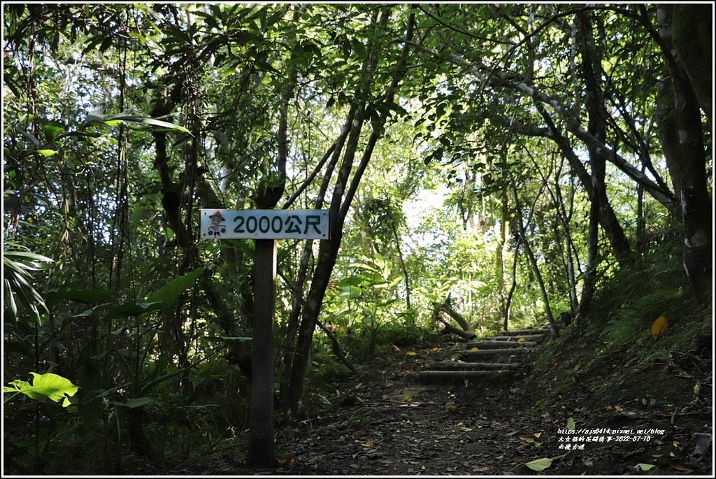 米棧古道-2022-07-60.jpg 米棧古道-2022-07-60.jpg