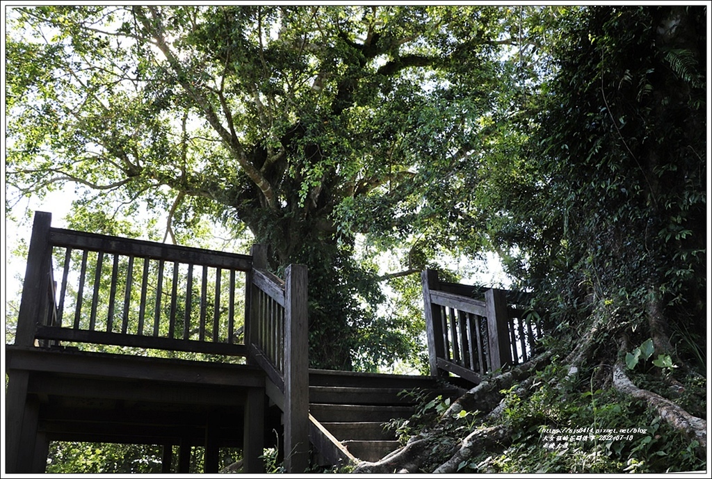 米棧古道-2022-07-62.jpg 米棧古道-2022-07-62.jpg