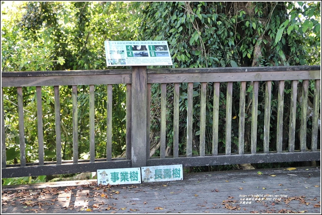 米棧古道-2022-07-69.jpg 米棧古道-2022-07-69.jpg