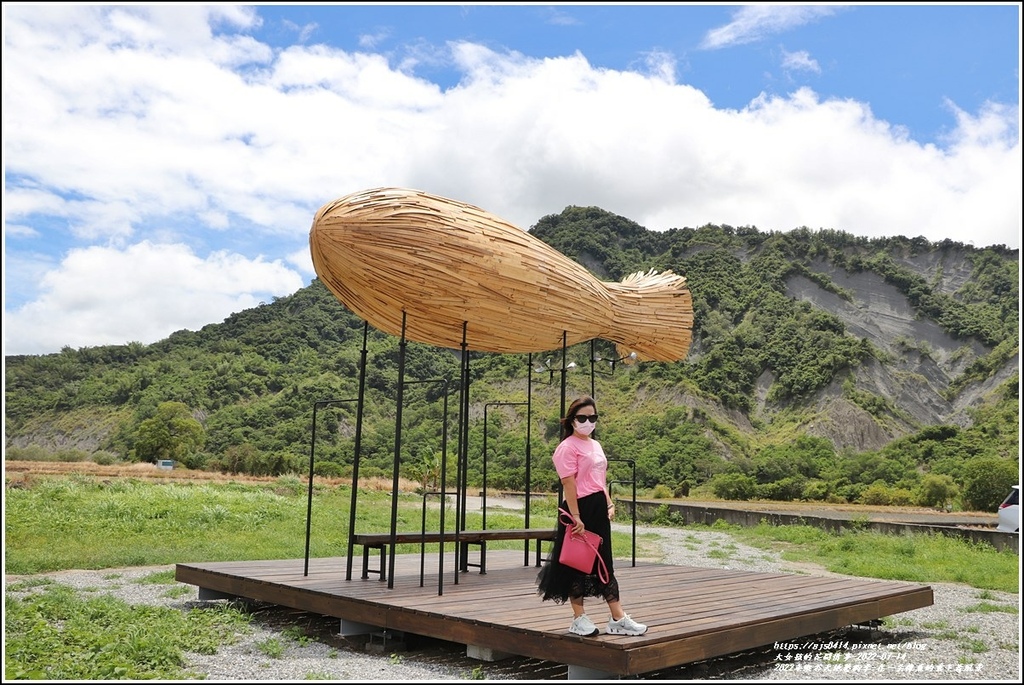 2022年縱谷大地藝術季-在一朵像魚的雲下看風景-2022-07-09.jpg