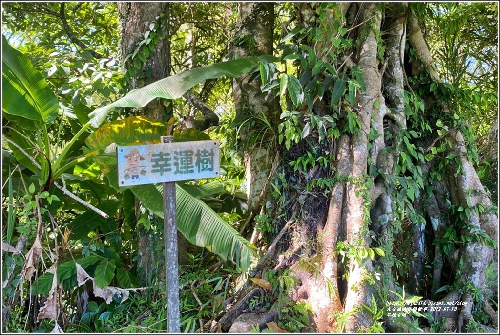 米棧古道-2022-07-70.jpg 米棧古道-2022-07-70.jpg