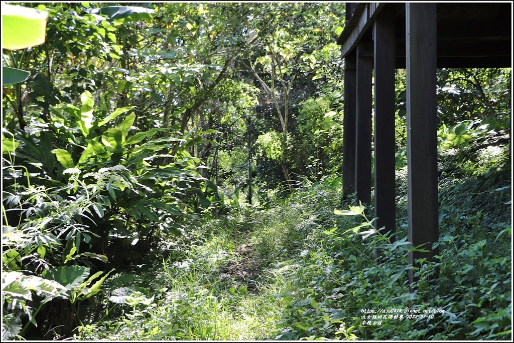 米棧古道-2022-07-78.jpg