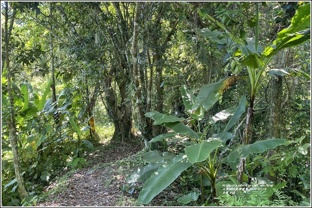 米棧古道-2022-07-84.jpg 米棧古道-2022-07-84.jpg