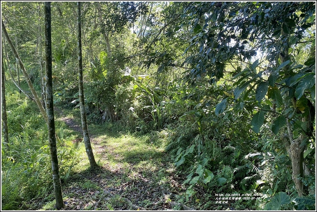 米棧古道-2022-07-81.jpg 米棧古道-2022-07-81.jpg