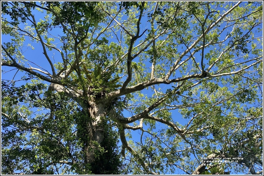 米棧古道-2022-07-83.jpg 米棧古道-2022-07-83.jpg