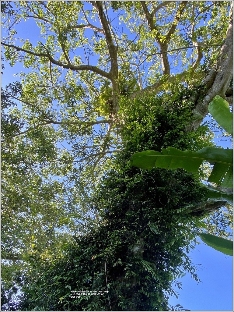 米棧古道-2022-07-80.jpg 米棧古道-2022-07-80.jpg