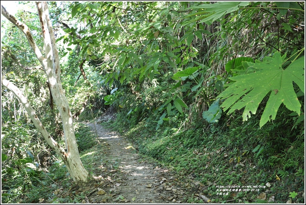 米棧古道-2022-07-92.jpg 米棧古道-2022-07-92.jpg