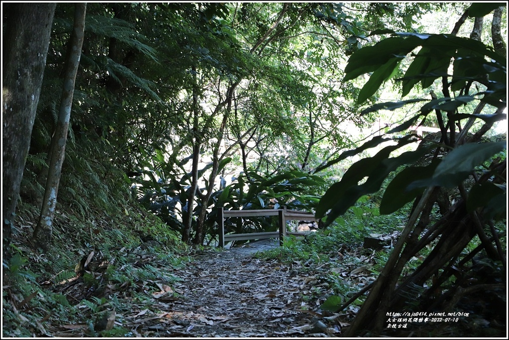 米棧古道-2022-07-97.jpg 米棧古道-2022-07-97.jpg