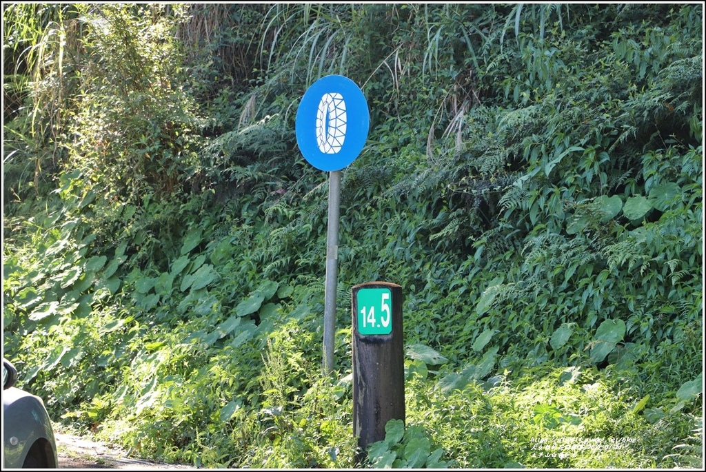 太平山白嶺巨木-2022-07-09.jpg 太平山白嶺巨木-2022-07-09.jpg