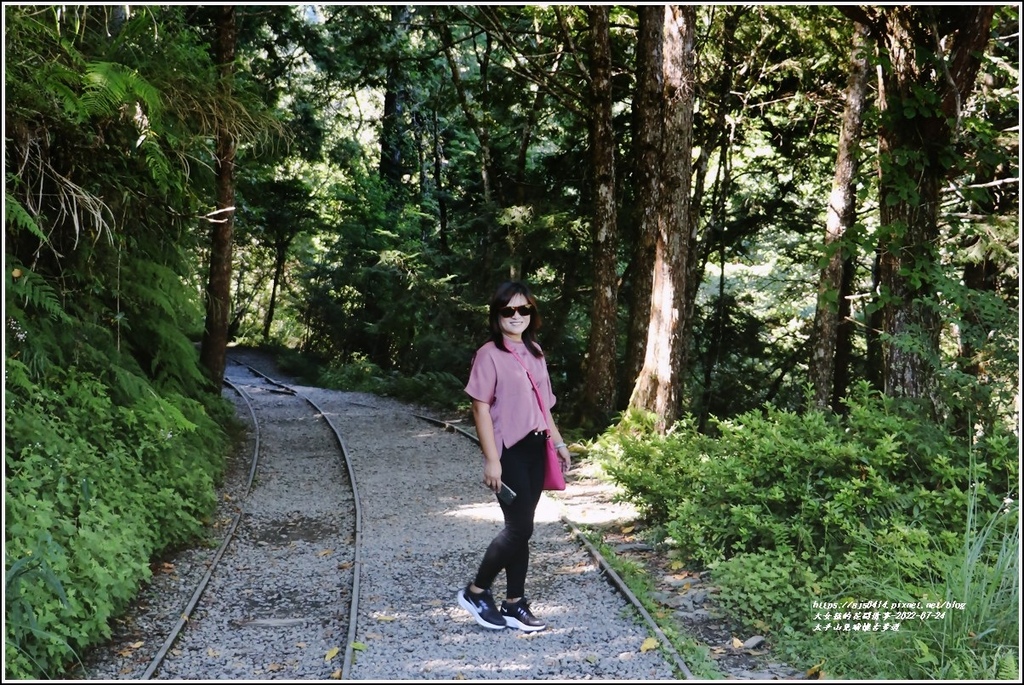 太平山見晴懷古步道-2022-07-10.jpg 太平山見晴懷古步道-2022-07-10.jpg