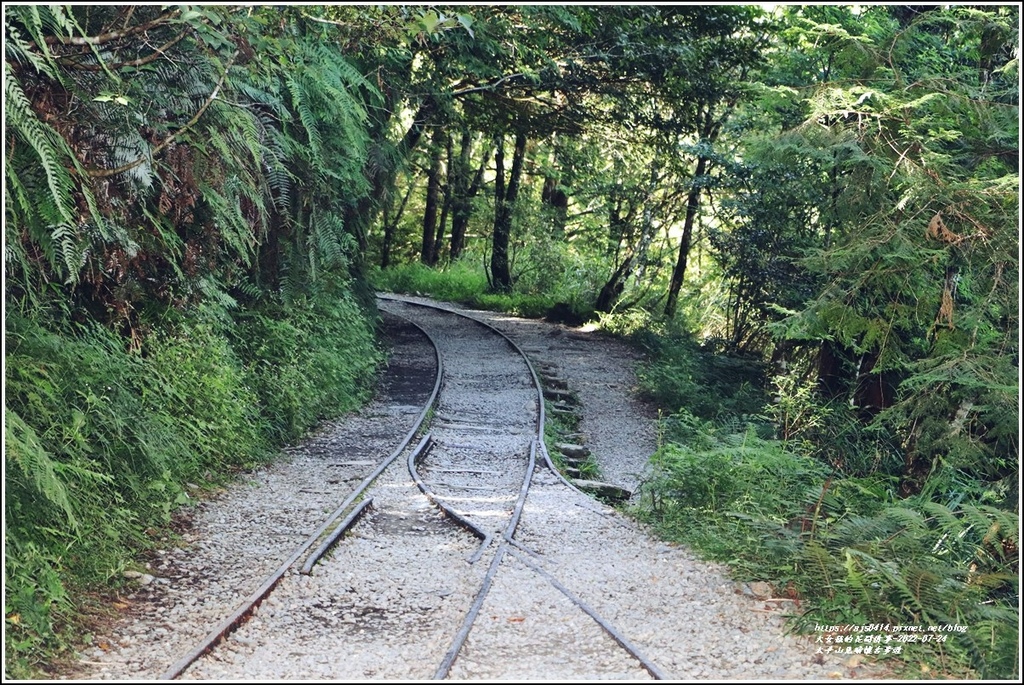 太平山見晴懷古步道-2022-07-14.jpg 太平山見晴懷古步道-2022-07-14.jpg