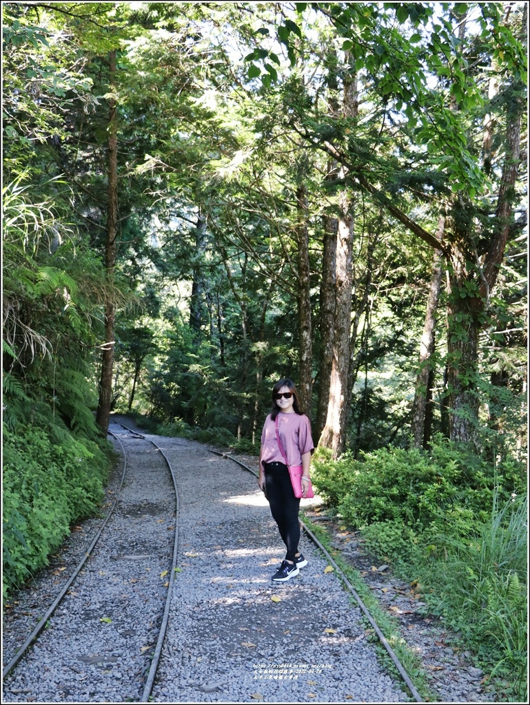 太平山見晴懷古步道-2022-07-13.jpg