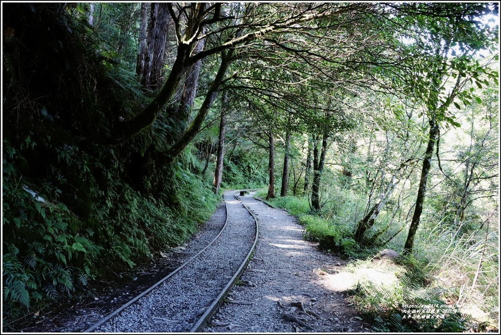 太平山見晴懷古步道-2022-07-16.jpg 太平山見晴懷古步道-2022-07-16.jpg