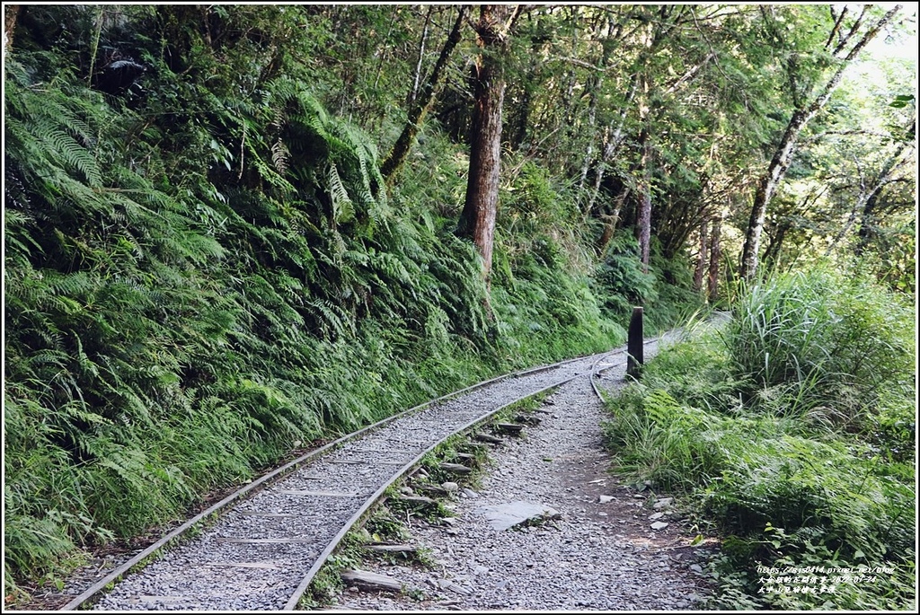 太平山見晴懷古步道-2022-07-20.jpg 太平山見晴懷古步道-2022-07-20.jpg