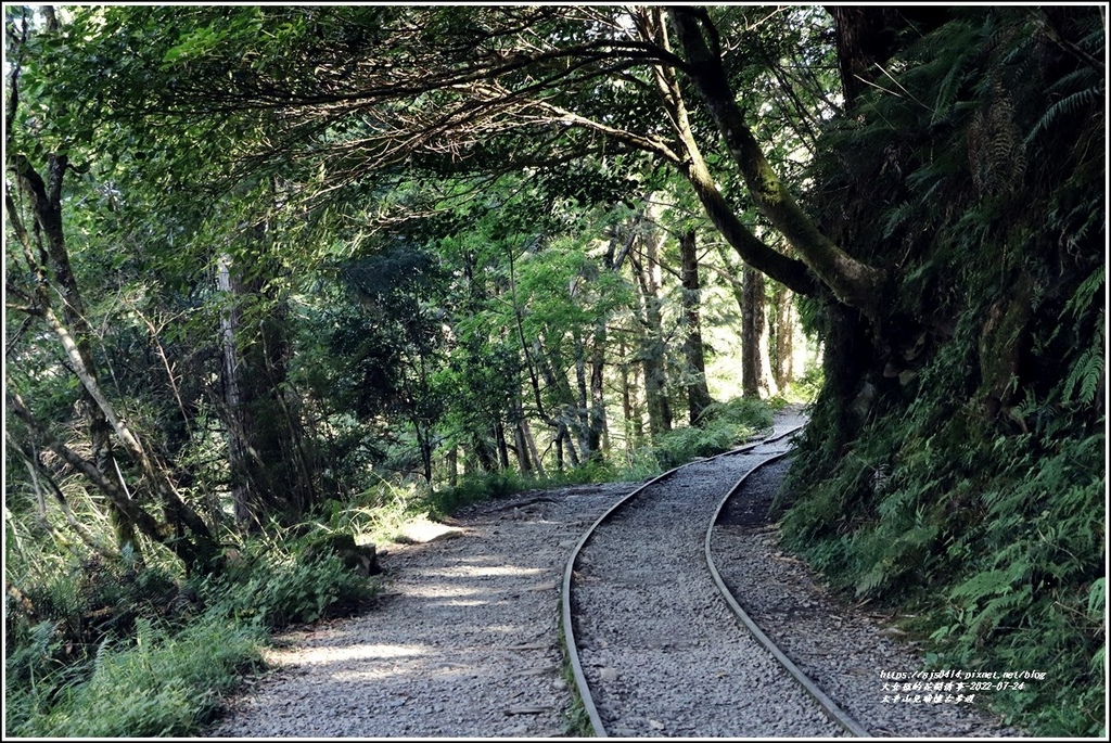 太平山見晴懷古步道-2022-07-18.jpg 太平山見晴懷古步道-2022-07-18.jpg