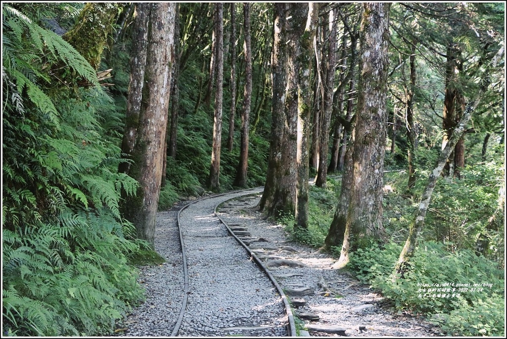 太平山見晴懷古步道-2022-07-23.jpg 太平山見晴懷古步道-2022-07-23.jpg