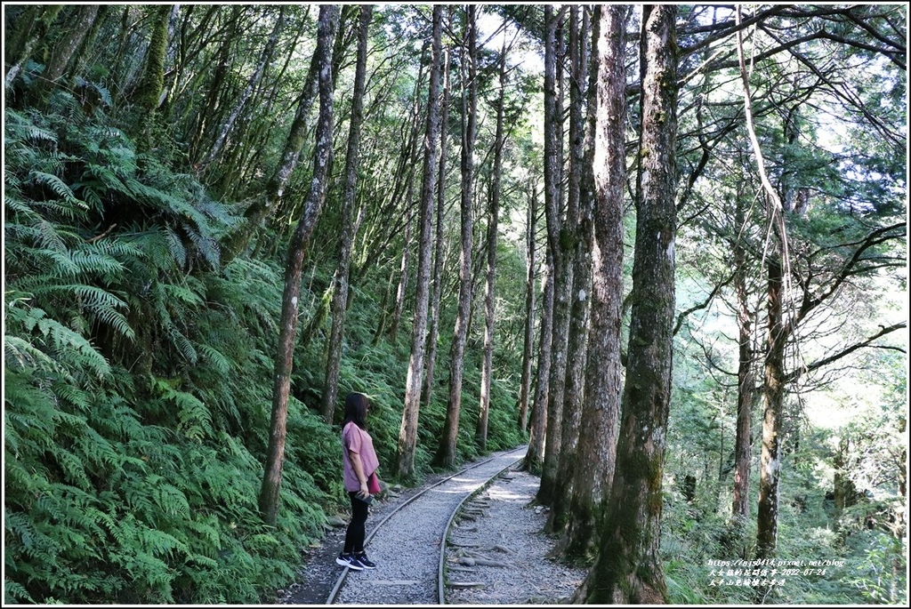 太平山見晴懷古步道-2022-07-27.jpg 太平山見晴懷古步道-2022-07-27.jpg