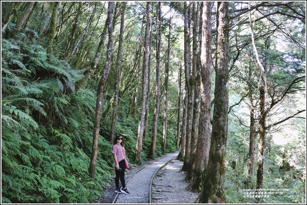 太平山見晴懷古步道-2022-07-26.jpg 太平山見晴懷古步道-2022-07-26.jpg