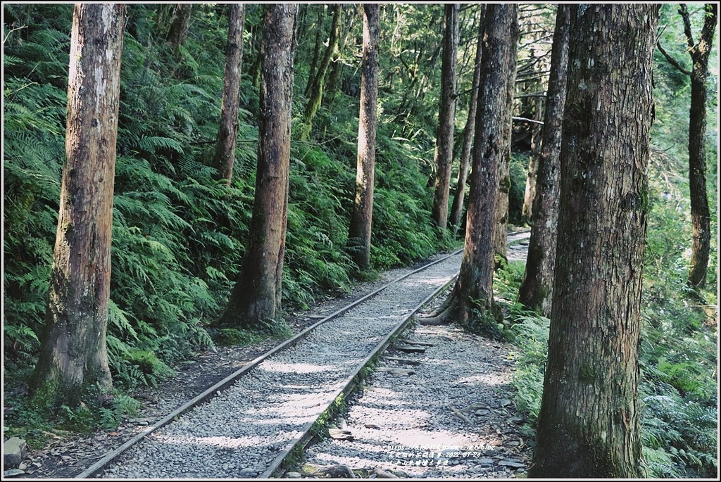 太平山見晴懷古步道-2022-07-25.jpg 太平山見晴懷古步道-2022-07-25.jpg