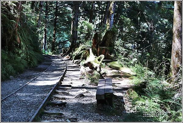 太平山見晴懷古步道-2022-07-32.jpg