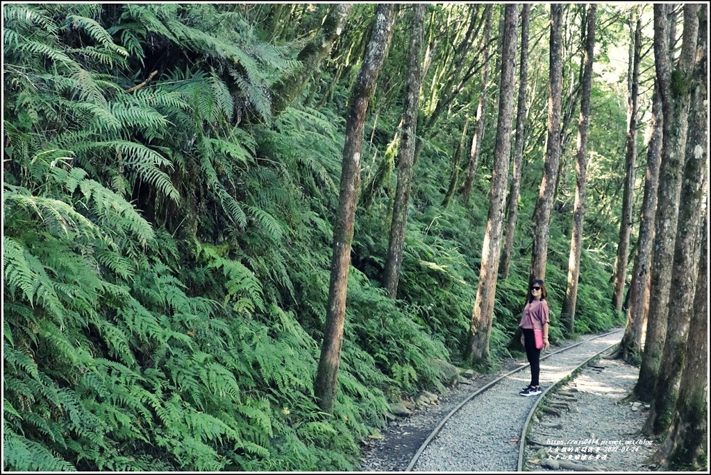 太平山見晴懷古步道-2022-07-29.jpg 太平山見晴懷古步道-2022-07-29.jpg