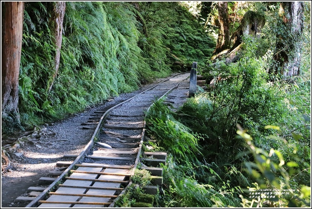 太平山見晴懷古步道-2022-07-38.jpg 太平山見晴懷古步道-2022-07-38.jpg