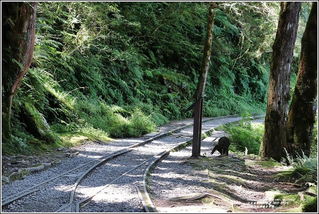 太平山見晴懷古步道-2022-07-45.jpg