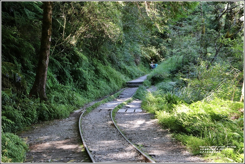 太平山見晴懷古步道-2022-07-48.jpg 太平山見晴懷古步道-2022-07-48.jpg