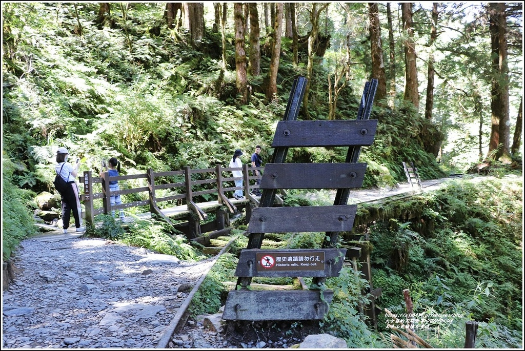 太平山見晴懷古步道-2022-07-50.jpg 太平山見晴懷古步道-2022-07-50.jpg