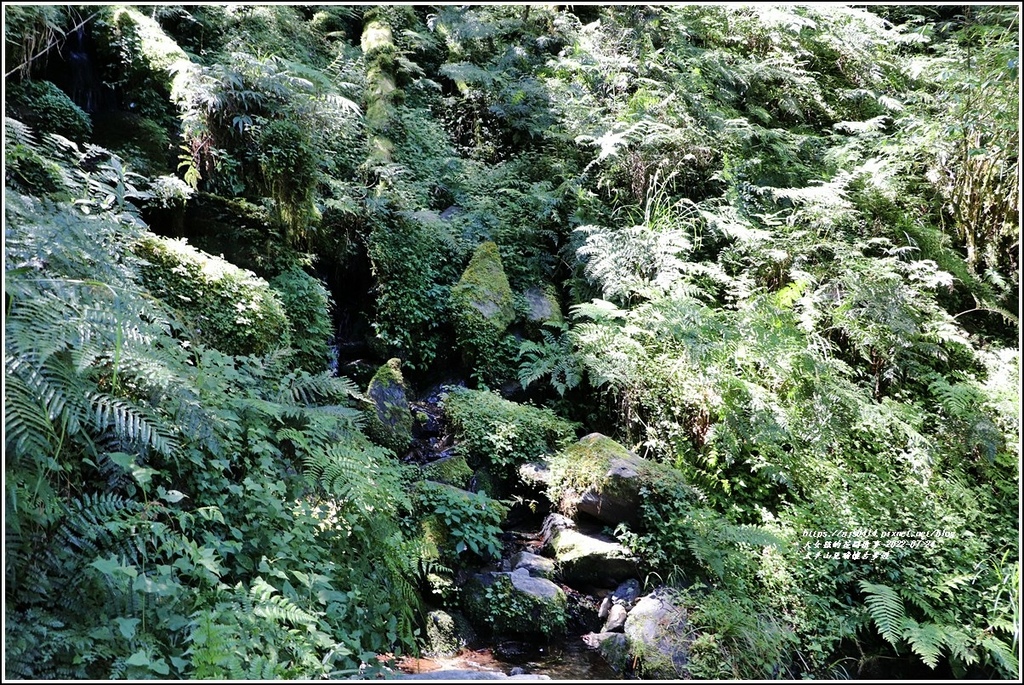 太平山見晴懷古步道-2022-07-51.jpg 太平山見晴懷古步道-2022-07-51.jpg