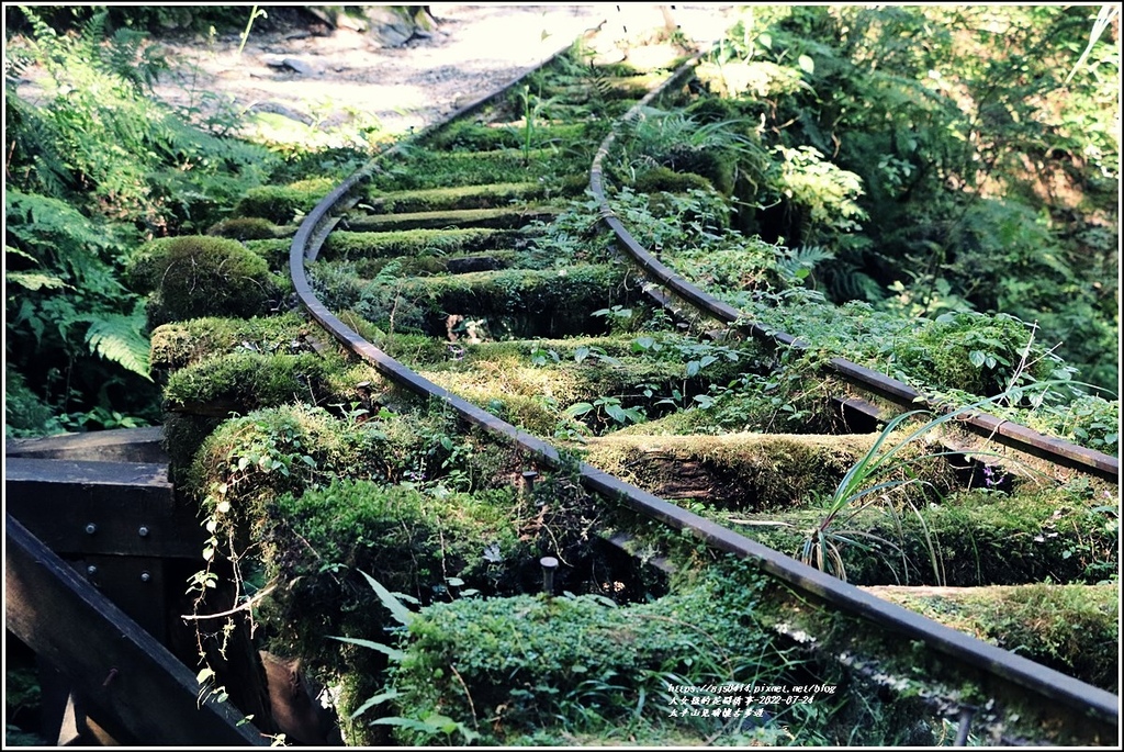 太平山見晴懷古步道-2022-07-53.jpg 太平山見晴懷古步道-2022-07-53.jpg