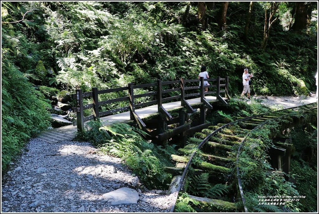 太平山見晴懷古步道-2022-07-56.jpg 太平山見晴懷古步道-2022-07-56.jpg