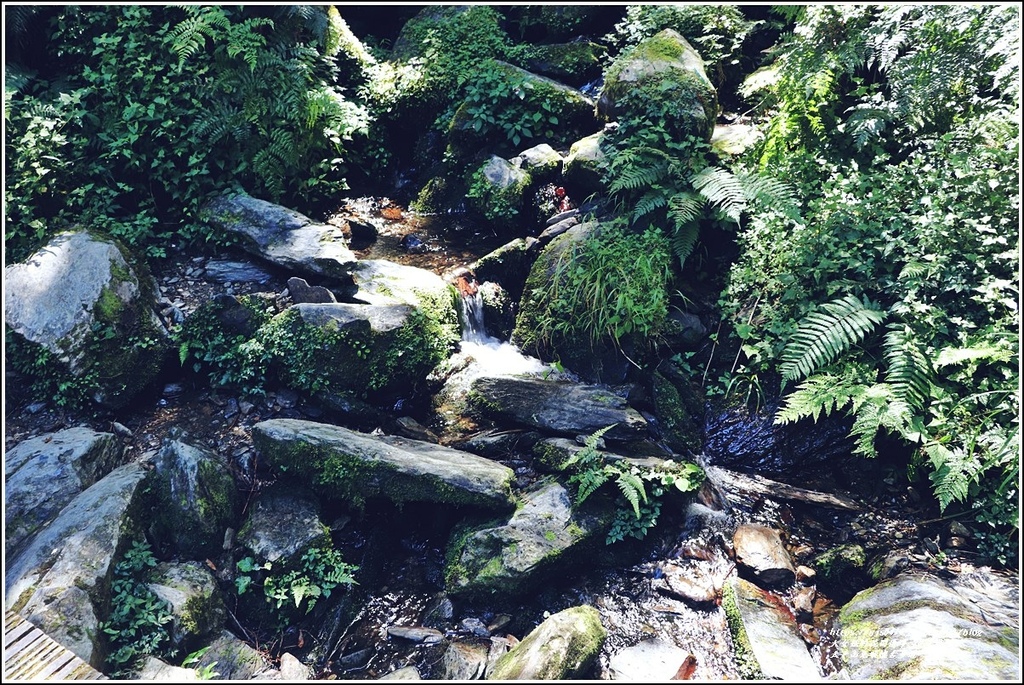 太平山見晴懷古步道-2022-07-59.jpg 太平山見晴懷古步道-2022-07-59.jpg