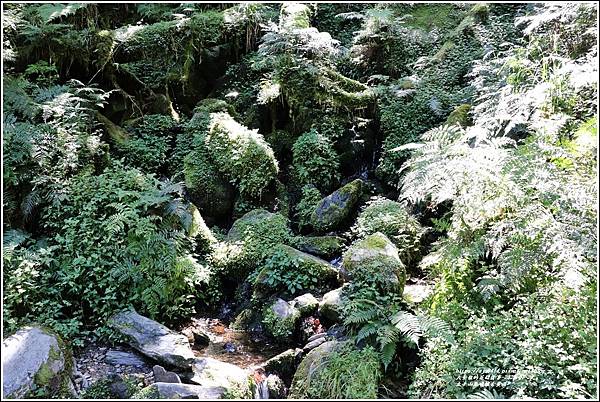 太平山見晴懷古步道-2022-07-58.jpg