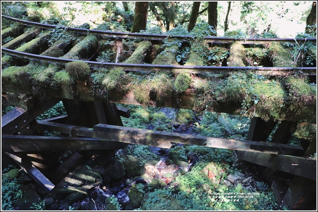 太平山見晴懷古步道-2022-07-57.jpg 太平山見晴懷古步道-2022-07-57.jpg