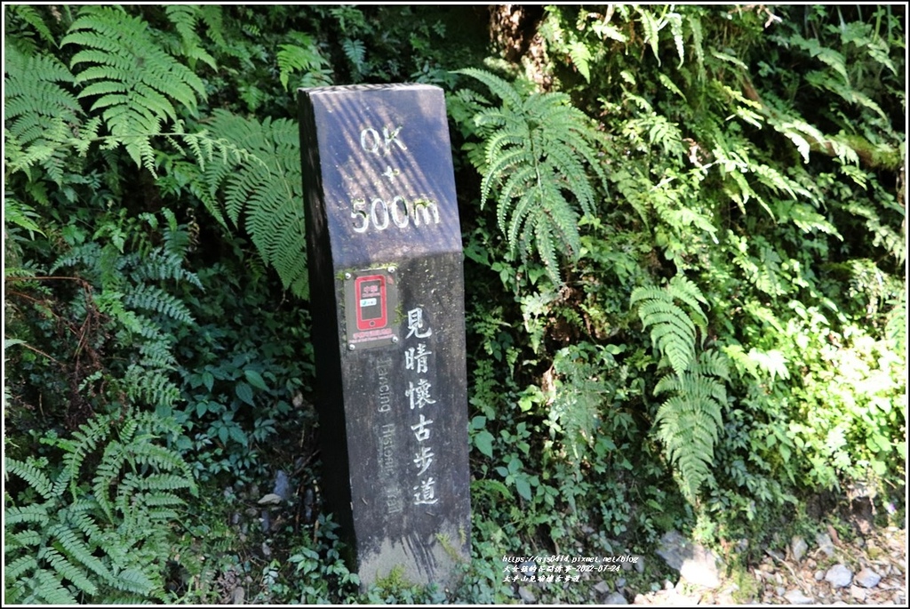 太平山見晴懷古步道-2022-07-60.jpg