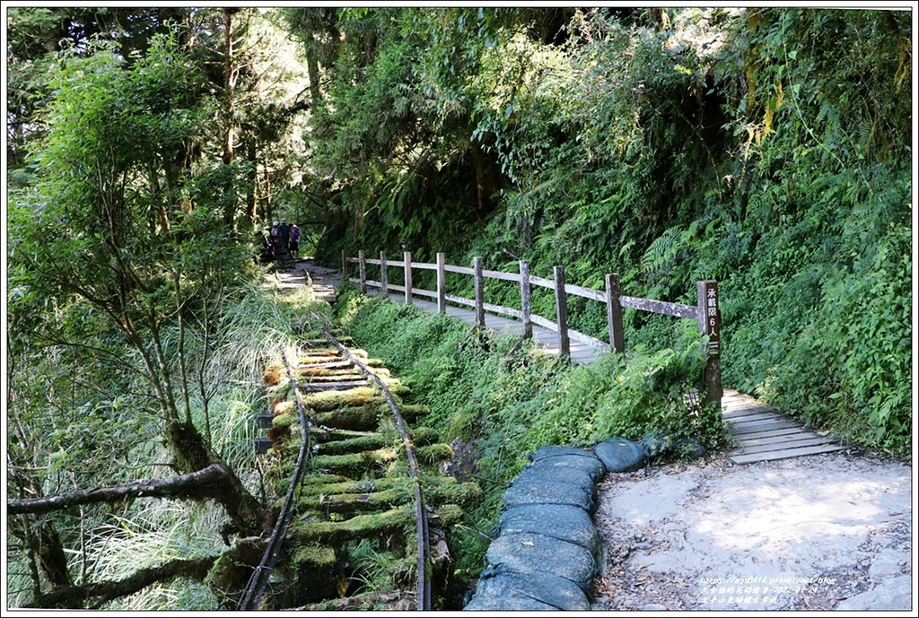 太平山見晴懷古步道-2022-07-62.jpg