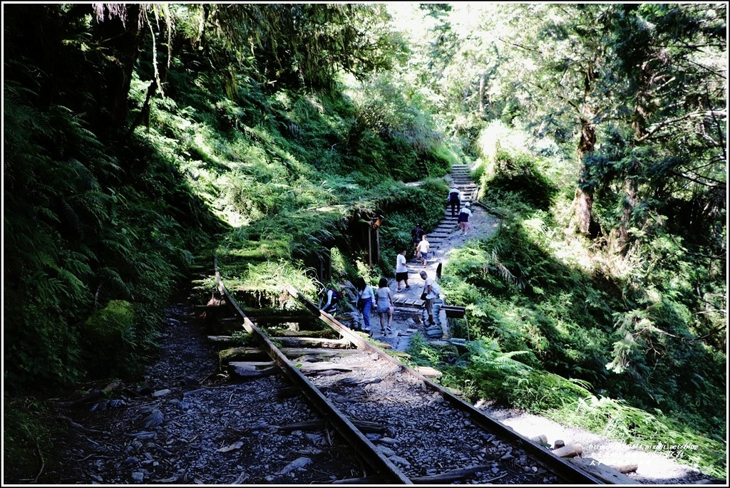 太平山見晴懷古步道-2022-07-65.jpg 太平山見晴懷古步道-2022-07-65.jpg