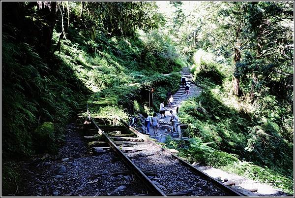 太平山見晴懷古步道-2022-07-65.jpg