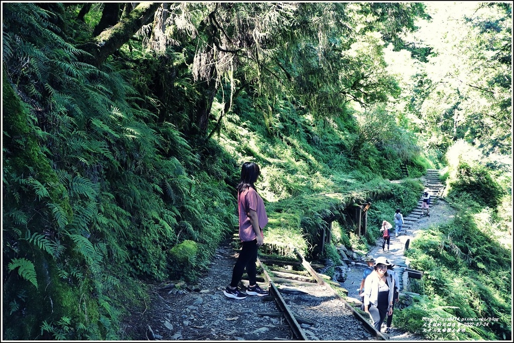太平山見晴懷古步道-2022-07-67.jpg 太平山見晴懷古步道-2022-07-67.jpg