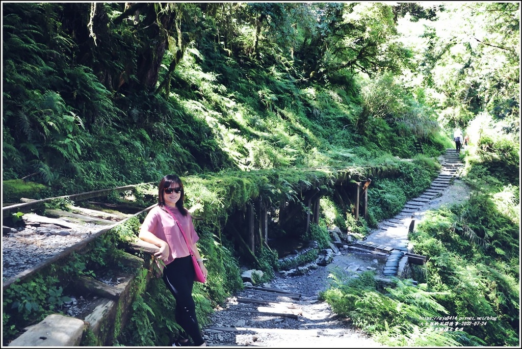 太平山見晴懷古步道-2022-07-68.jpg 太平山見晴懷古步道-2022-07-68.jpg