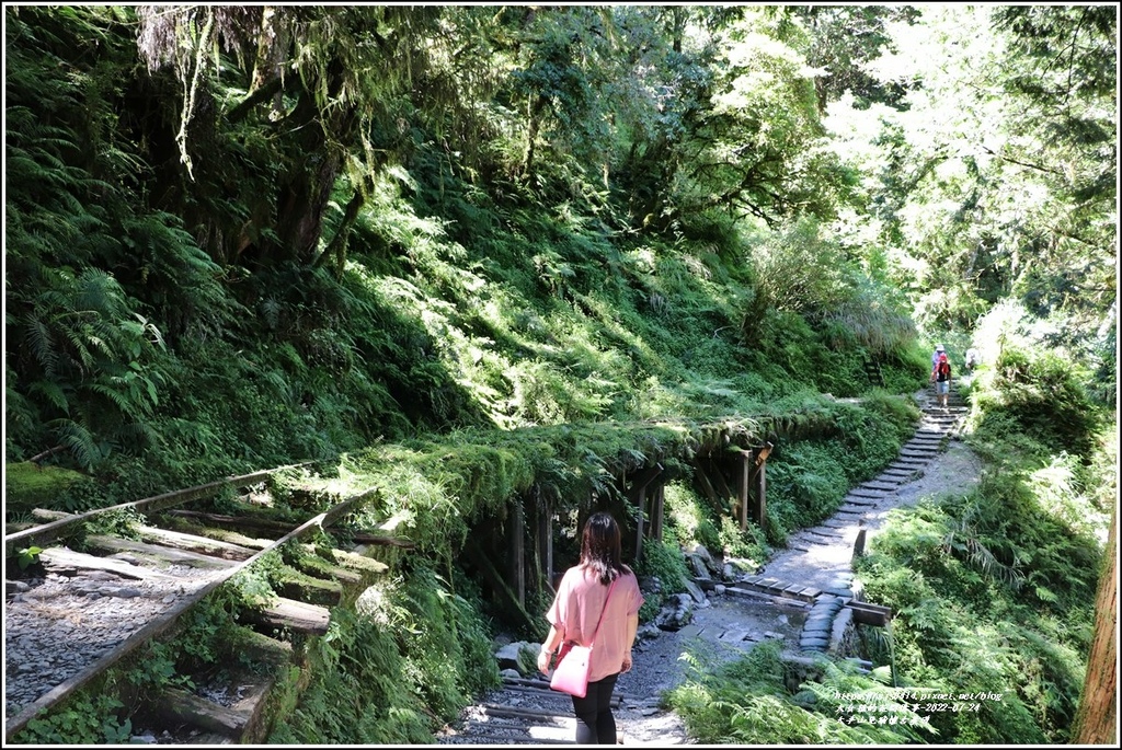 太平山見晴懷古步道-2022-07-70.jpg 太平山見晴懷古步道-2022-07-70.jpg