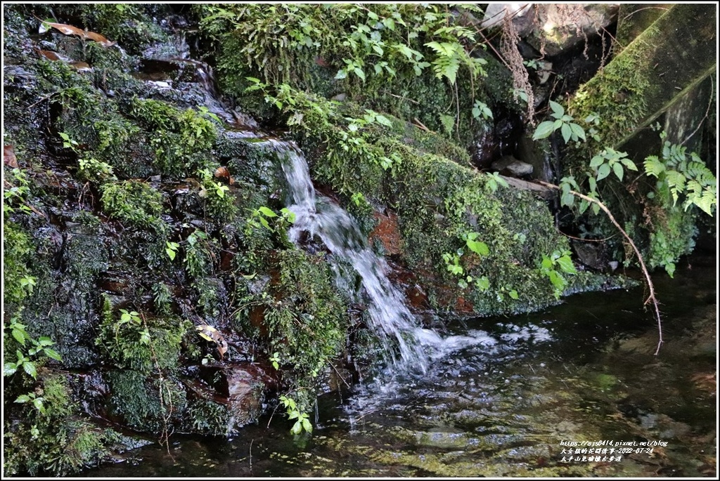 太平山見晴懷古步道-2022-07-73.jpg 太平山見晴懷古步道-2022-07-73.jpg
